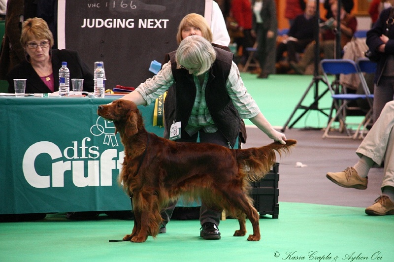 Crufts2011 405.jpg